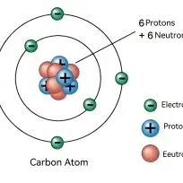 Carbon atom diagram showing electrons and nucleus